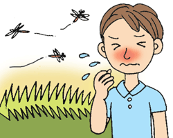 秋の花粉症は風邪と間違われやすい!