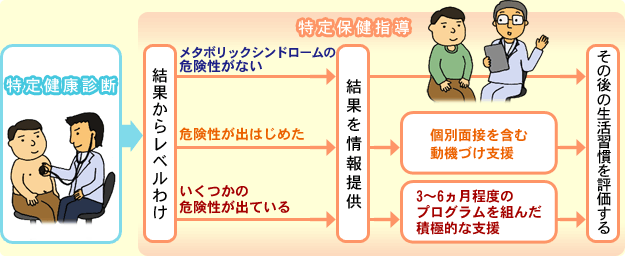 図:特定健康診断と特定保健指導の流れ