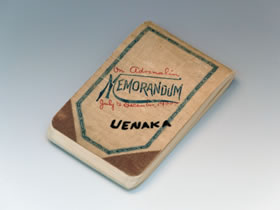 アドレナリン実験ノート