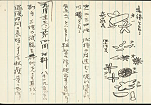 アドレナリンの結晶