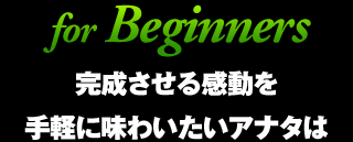 for Beginners 完成させる感動を手軽に味わいたいアナタは