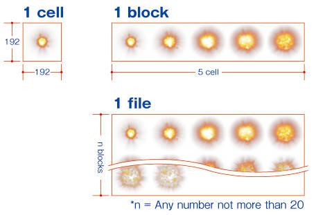 Animation Effects (Graphics/Animations)