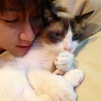 fabcafe:27481386012866