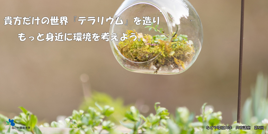 Display