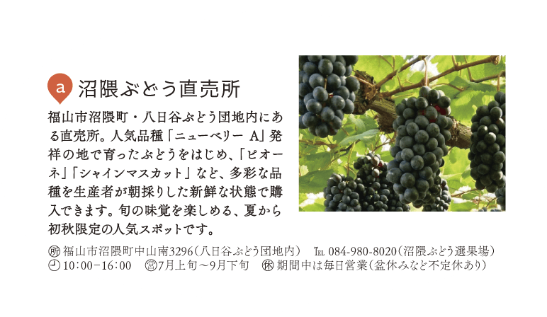 a.a沼隈ぶどう直売所