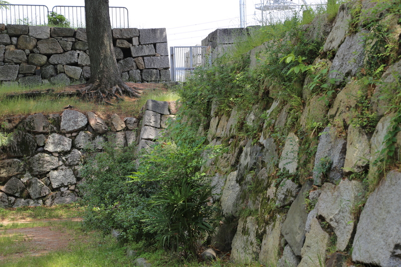【淀城の本丸石垣と天守台】<p>下の石垣の淀城の本丸石垣。上の石垣が天守台。</p>
<p>天守台の一部の石垣が抜けて、石垣の裏込が見えていた。<br>大丈夫なのだろうか。</p>