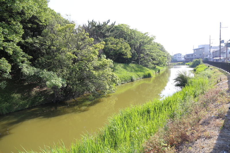 【仁徳天皇陵古墳を北西から撮影】<p>仁徳天皇陵古墳の水堀は3周しているが、見えているのは1周目の水堀。<br>その奥に土塁があって、一見、城っぽい。</p>
