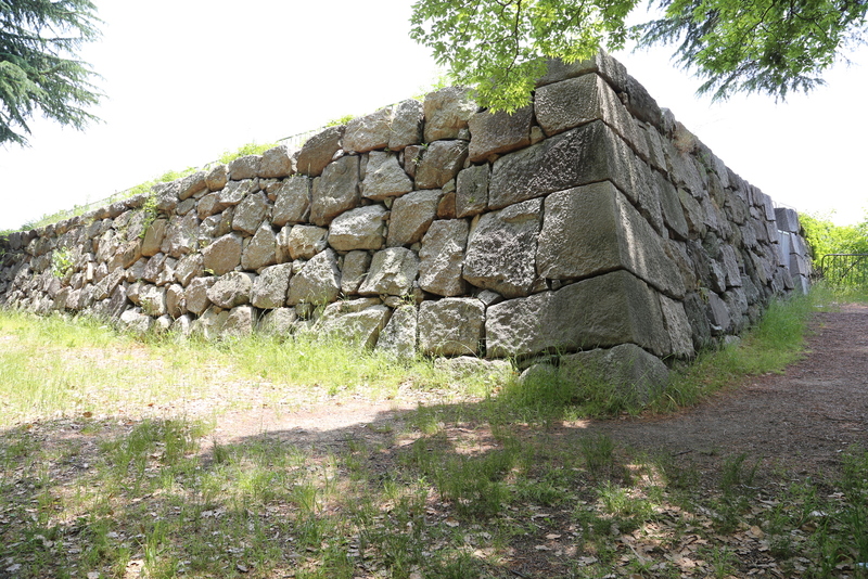 【淀城・天守台】<p>淀城・天守台の隅石、さすがに立派。この日は6月2日で、すごい光量でした。</p>
<p>本丸（淀城跡公園）に入ったら、おじさん1名が公園のベンチに上半身裸で昼食中でした。<br>時代の流れを感じました（笑</p>
