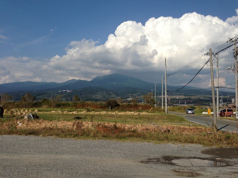 【興国寺城】遠景。後ろの山は愛鷹山。