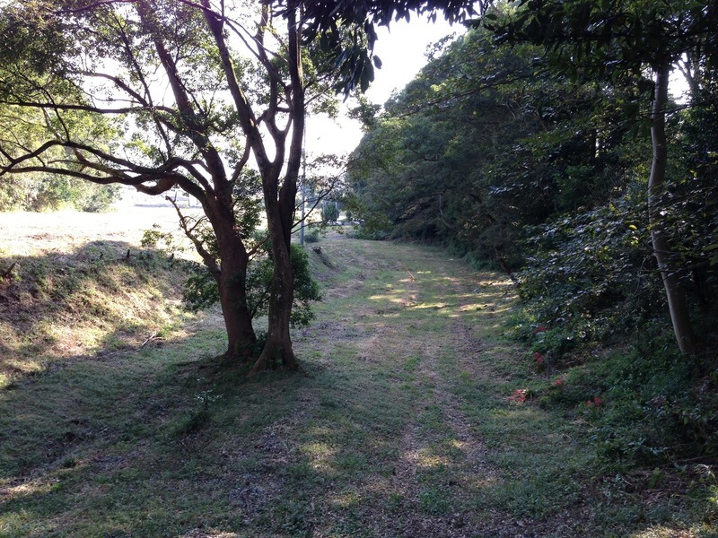【興国寺城】東側の窪み、船着場だったそうな