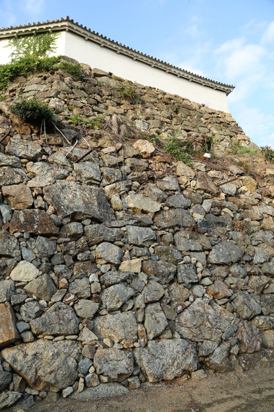 【姫路城上山里曲輪下段の石垣】<p>羽柴秀吉時代（1580-81）に築かれたという姫路城上山里曲輪下段の石垣。</p>
<p>姫路城は、羽柴秀吉→池田氏→本多氏を経て、完成した。<br>ここの石垣は自然石を使う野面積みで積まれている。</p>
<p>秀吉はこの辺りの事情に精通している黒田官兵衛に普請を命じたことから、この石垣は官兵衛による可能性があるという。<br>官兵衛普請の石垣の詳細は、姫路市の資料（PDF）でどうぞ。結構広いのが分かる。 http://www.city.himeji.lg.jp/var/rev0/0062/3735/2013829103559.pdf</p>
