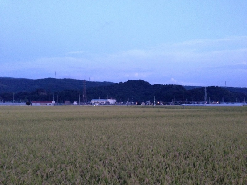【韮山城】遠景。もう夕方<br>