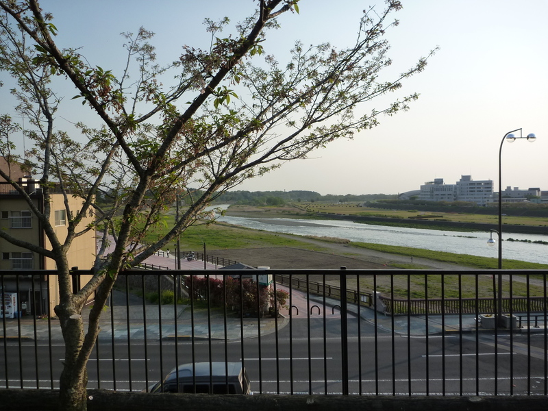 【小山評定の城、小山城】先週の大河ドラマ（20014年11月30日）で、徳川家康と諸将が石田三成挙兵への対応を小山城で話し合うシーンがあったが、ここがその小山城。

この軍議を「小山評定」という。実際に小山評定が開かれたのは、小山城南の須賀神社境内とのこと。

小山城は小山氏の居城で、小山氏は小山義政の乱（1380-82年）で衰退するまで栄えた。

写真にあるように、城の西側を思川が北から南に流れている。
西側以外は深い堀で囲まれていて、今でも遺構が残っている。