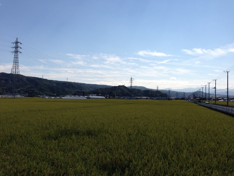 【韮山城】北東からの遠景