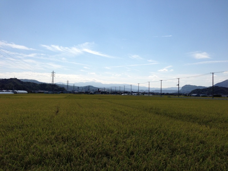 【韮山城】韮山城(左)と守山(右)。それぞれ端は切れているが、貴重なツーショット。