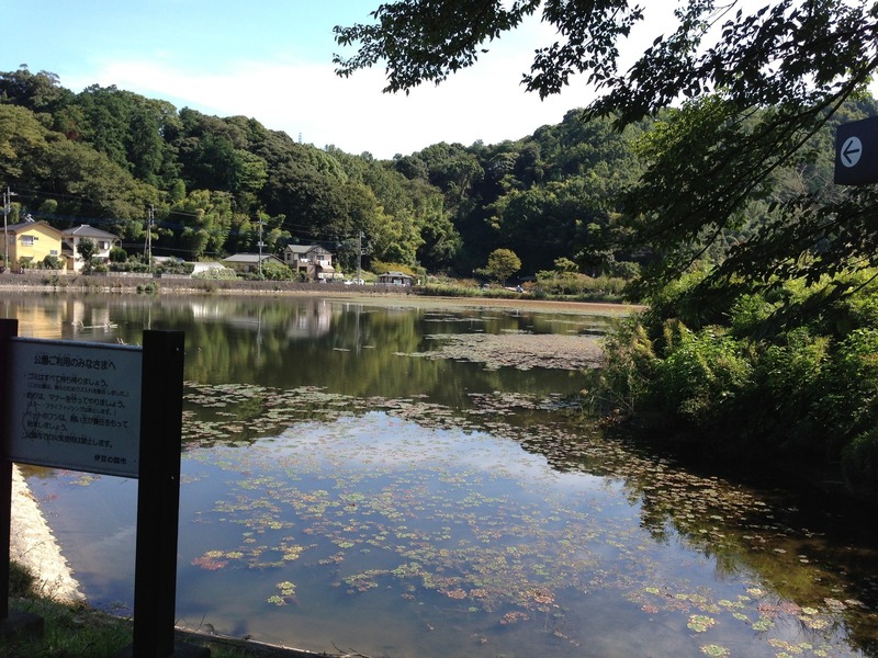 【韮山城】城池。城池を通って、南に抜けられるようだ。<br>城池南の切通しが韮山城と天ケ岳砦を区切る堀切らしい（堀切は3つあって、その切通しが最大の堀切）。<br>今度行ったら、通ってみよう。