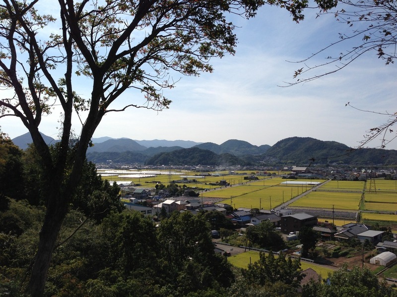 【韮山城】本丸から守山。守山の麓に堀越御所があったという。