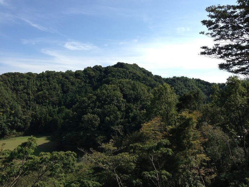 【韮山城】出城があった天ヶ岳砦