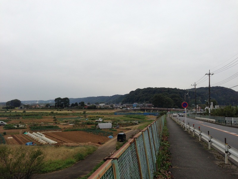 【高月城】遠景。中央の小高い丘が高月城。左手の奥に滝山城がある。
