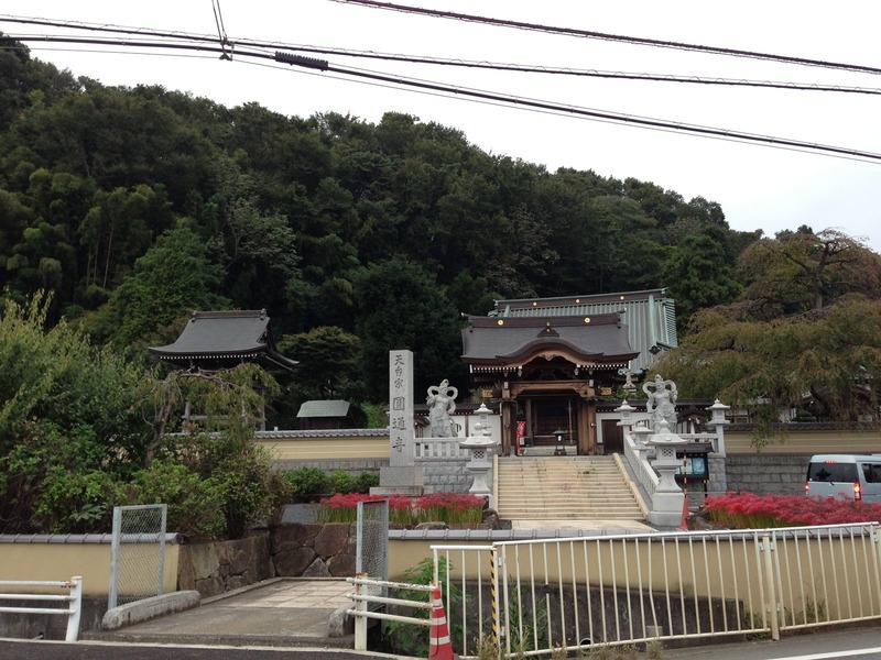 【高月城】圓通寺の裏が高月城