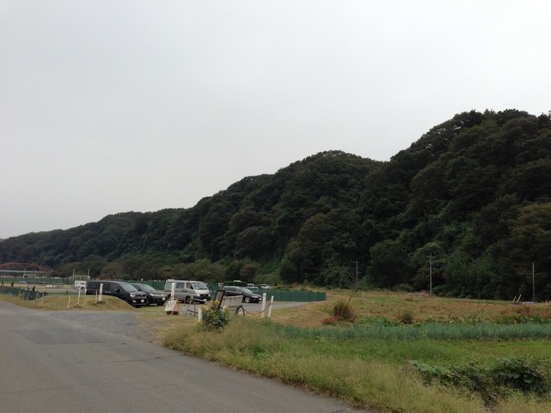 【滝山城】東側からの遠景