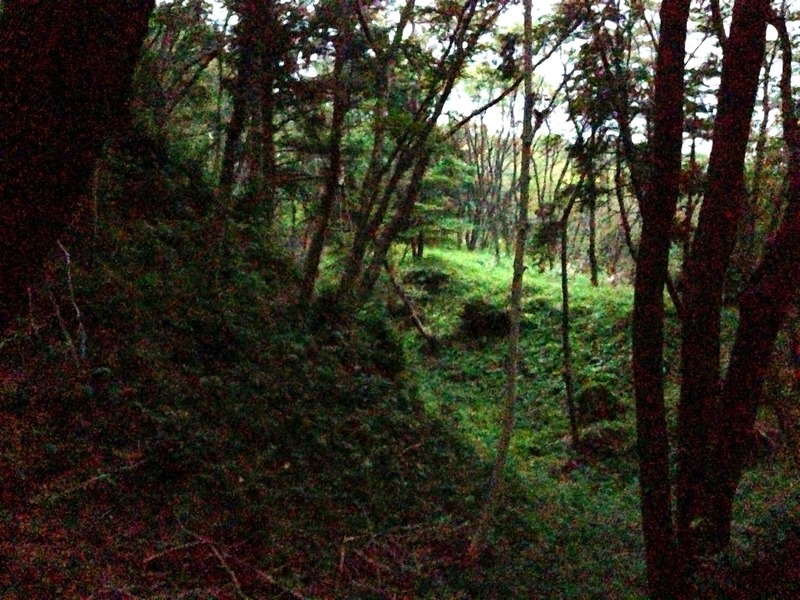 【滝山城】小峰曲輪から二ノ丸に入る所の堀