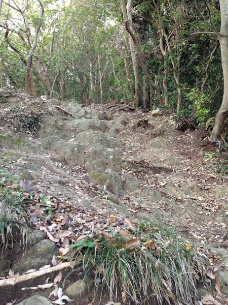 【高麗山城】男坂を登りはじめる。かなり急。