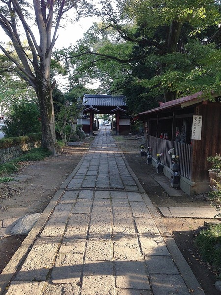 【忍城】清善寺。『のぼうの城』では、清善寺の住職が明嶺ということになっている。成田家が開基の寺。<br><br>寺内は落ち着きがあり、居心地のいいところだった。