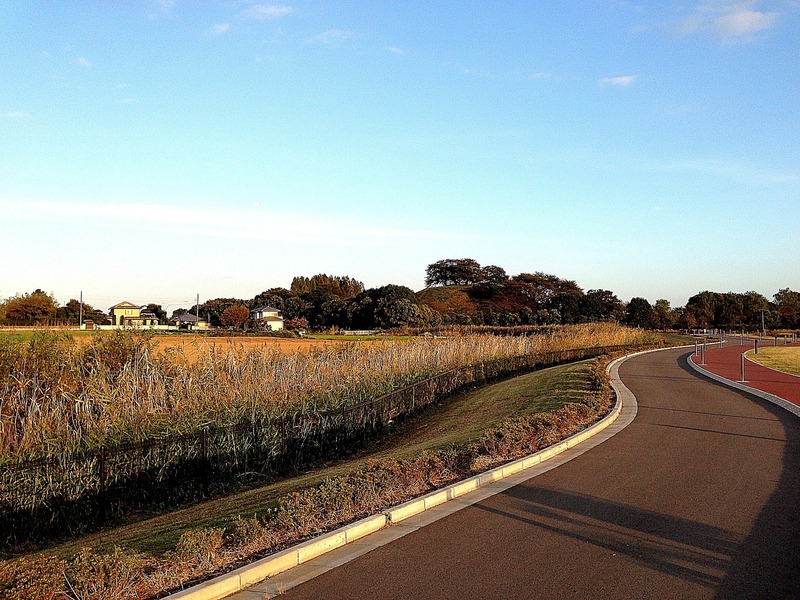 【忍城】丸墓山遠景。上杉謙信、石田三成が陣どったという丸墓山。<br>丸墓山は中央やや右寄りの小高い丘。