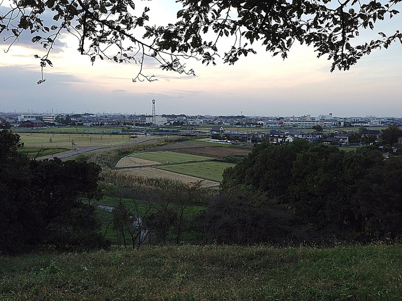 【忍城】丸墓山から忍城をのぞむ。石田三成が本陣を置いた丸墓山から忍城をのぞむ。<br>忍城は、中央やや左の鉄塔の右側、写真のほぼ中央部にある。肉眼でも確認できた。<br><br>水攻めの際には、右手から利根川の水が、左手から荒川の水が襲ってきたはず。<br>『のぼうの城』では、手前の水田は水浸しになり、小高い忍城の二ノ丸、本丸付近が浮かんでいる感じ。