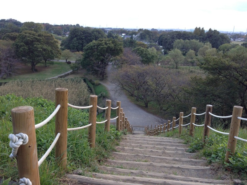 【忍城】丸墓山から見た石田堤