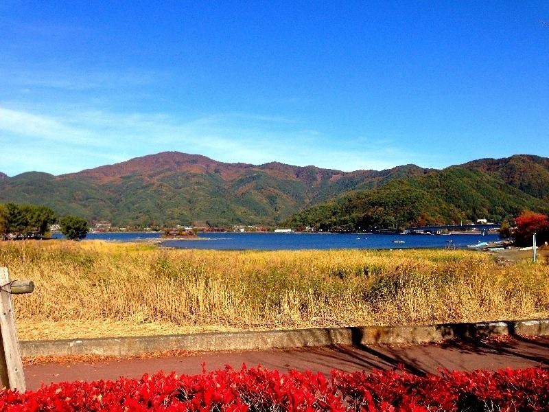 【御坂城】河口湖方面から遠望