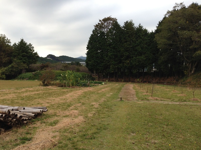 【葛山館】東側土塁