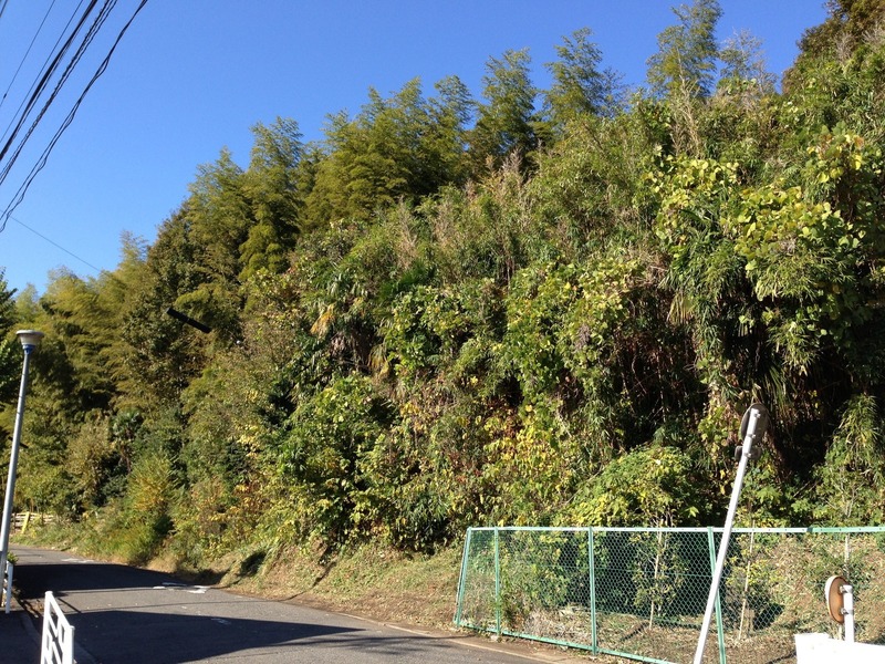 【荏田城】城の東側。