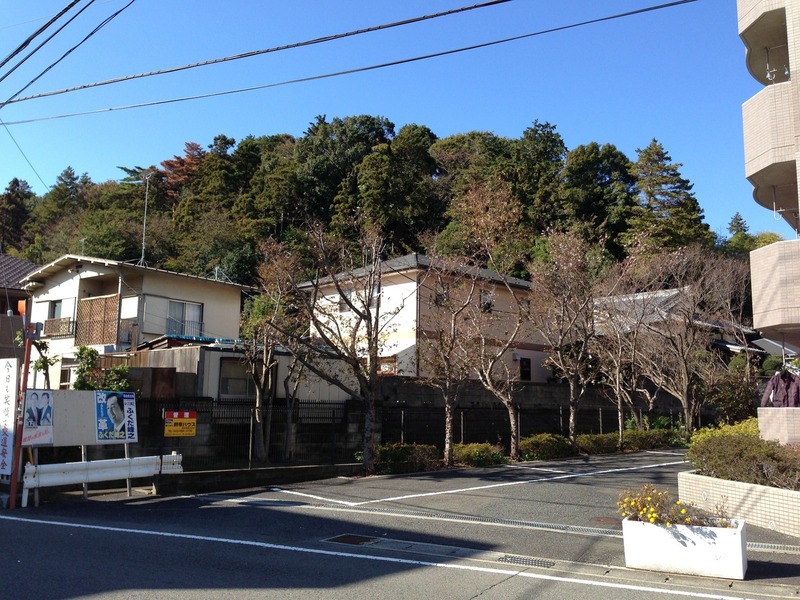 【荏田城】城の台地が途切れる北東から撮影。