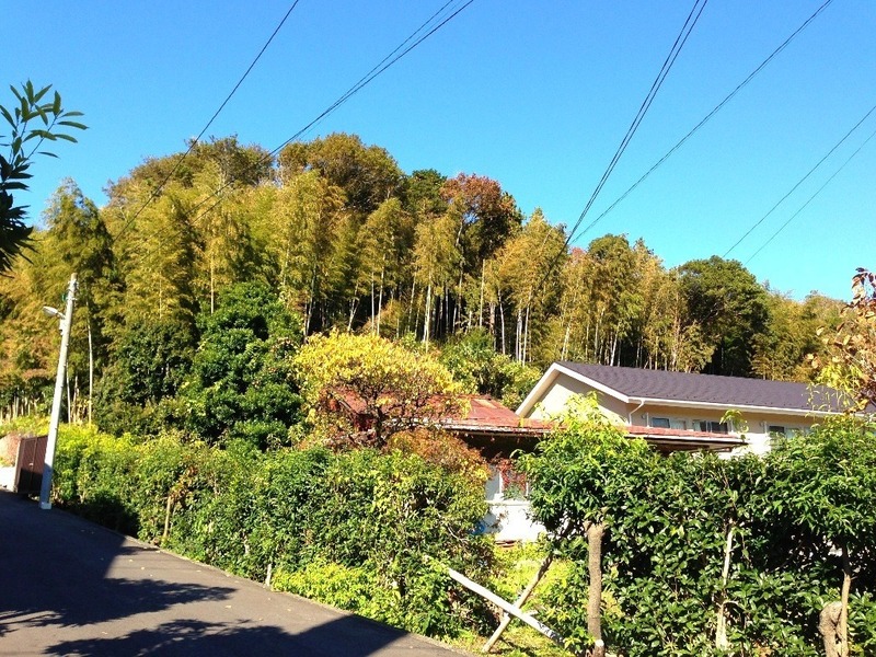 【荏田城】東側。