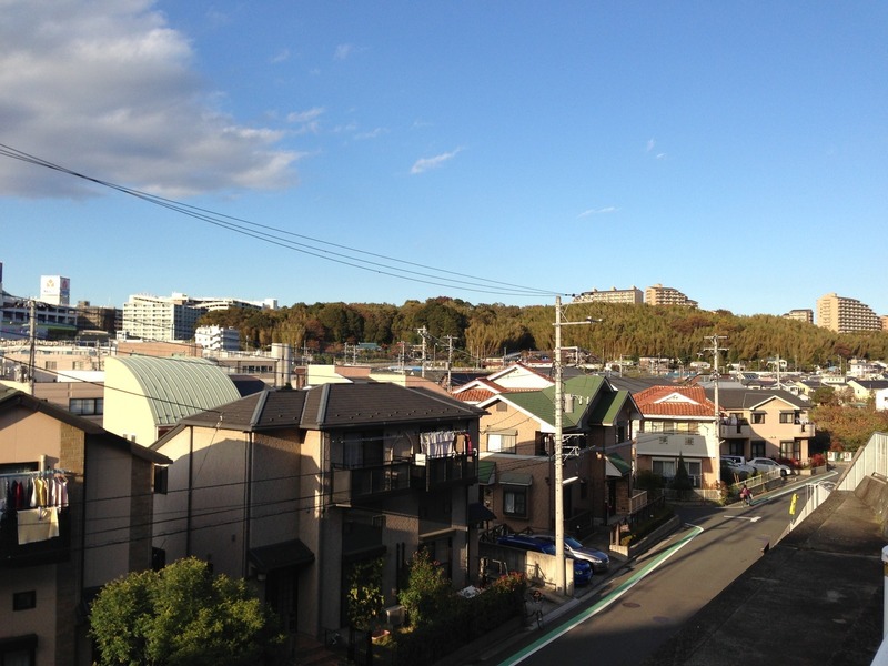 【茅ヶ崎城】大塚・歳勝土遺跡が北側から見える