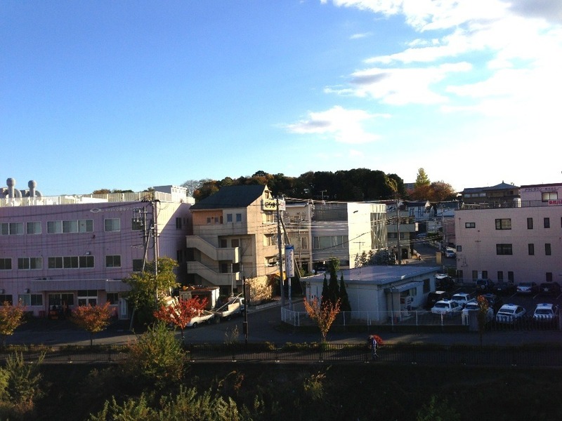 【茅ヶ崎城】北側からの遠景。手前は早淵川。