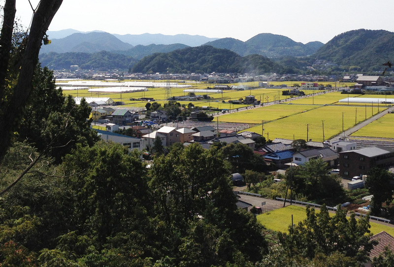 韮山城の本丸から守山をのぞむ。<br>    守山は写真中央奥の濃い緑の丘陵。守山の背後（西）には狩野川が北流し、手前（東）には下田街道が通っている。<br><br>    この付近は、平安末期、鎌倉北条氏の地盤であり、北条時政が開基の願成就院が盛衰を重ねながら、現在も建っている。守山の前、韮山城寄りに、小規模な林があるが、ここが源頼朝が流された蛭ヶ小島といわれている。頼朝は、北条時政の娘、北条政子を妻とし、北条勢を味方につけた。１１８０年、以仁王の令旨に呼応して挙兵し、韮山城の東側の山木判官邸を襲って、勝利した。つまり、韮山は、中世の武家政権、鎌倉幕府成立の揺籃の地なのである。<br><br>    室町時代の1493年、北条早雲（伊勢宗瑞）が伊豆討ち入ったが、堀越公方の足利茶々丸がいた堀越御所が守山の麓の願成就院にあった。もし約５００年前のその時にここから眺めていたら、早雲の軍勢が守山の堀越御所を襲ったのが見えたかもしれない。<br>    かつては、この時が戦国の始まりとされていた。<br><br>    早雲が茶々丸を堀越御所から逐った後、韮山城を本拠地とした。後北条氏の本拠地が小田原に移ったのは、後北条氏2代の北条氏綱からで、早雲は生涯、韮山城が居城だった。ということは、早雲はかつてこの辺を日常的に歩き、ここから同じように韮山の地を眺めていたかもしれない。早雲亡き後も、韮山城は北条氏の伊豆支配の中心地として機能した。<br><br>    早雲の伊豆討ち入りから約100年後の天正１８年（1590年）、豊臣秀吉による関東侵攻がはじまった。韮山城では、豊臣秀吉の4万4千余の大軍を相手に、後北条氏4代北条氏政の弟、北条氏規が3600の兵で3ヶ月間持ちこたえたという。しかし、北条方の有力な支城郡が落城し、後北条氏にとって絶望的な状況となったため、説得に応じて開城した。<br>    その豊臣政権も、秀吉の死後、関ヶ原の戦いと大阪の陣を経て、滅亡し、日本は徳川幕府による近世を迎える。<br><br>    このように、韮山は、東海道から奥まった土地であるにも関わらず、中世という時代の大舞台となった不思議な土地なのである。
