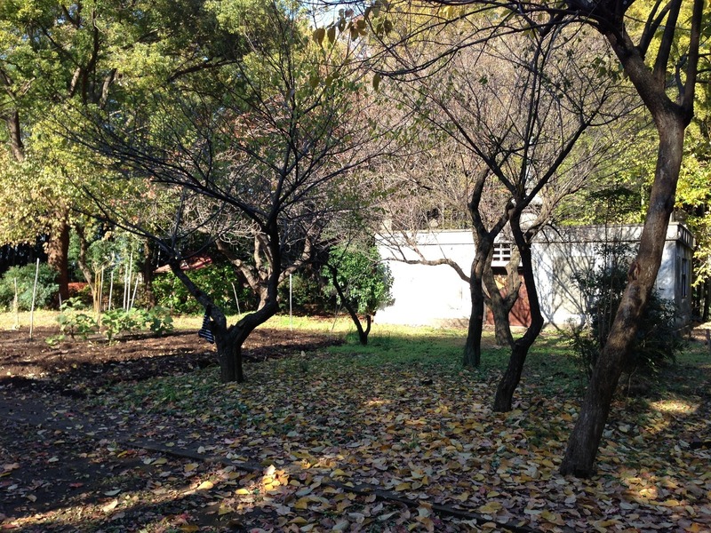 【榎下城】本丸。一部、墓地になっている。