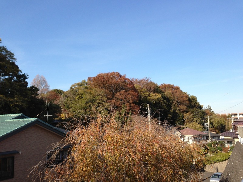 【榎下城】陣馬台から榎下城東側を撮影。