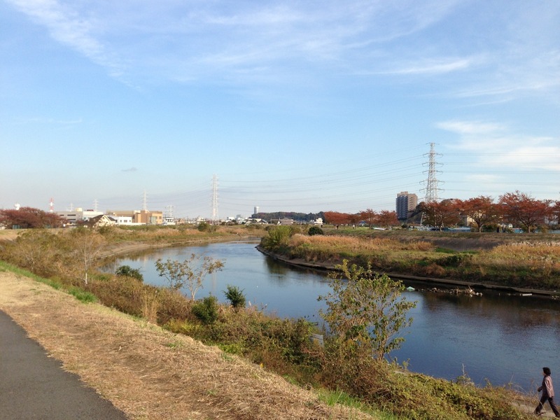 【小机城】遠景。鶴見川上流より撮影。