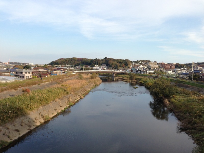 【小机城】12号の橋の上からの遠景。下は鶴見川。近づいてきた。