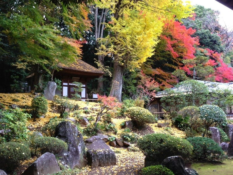 【早雲寺】本堂裏手にある、北条幻庵作の庭。早雲寺は箱根湯本にある。早雲寺本堂裏手には、北条幻庵作の庭がある。<br>豊臣秀吉が石垣山一夜城に移る前、早雲寺を本陣にしたということは、400年ほど前、秀吉もこの庭を眺めたのだろうか。