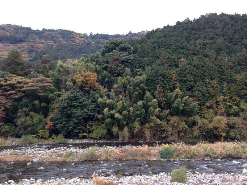 【石垣山一夜城】遠望。手前は早川。