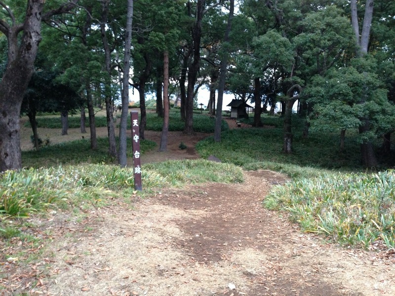【石垣山一夜城】天守台跡から本丸を撮影