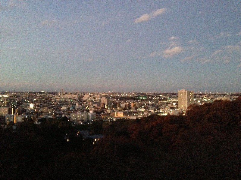 【枡形山城】本丸の高楼から武蔵野台地方面(北)を撮影