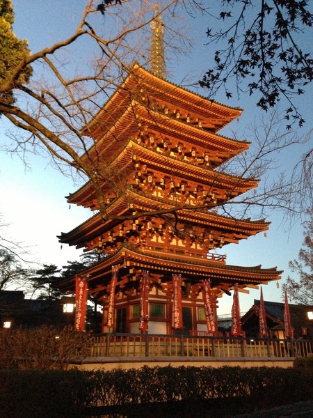 【高幡城】ライトアップされた五重塔