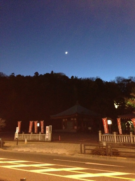 【高幡城】遠景。