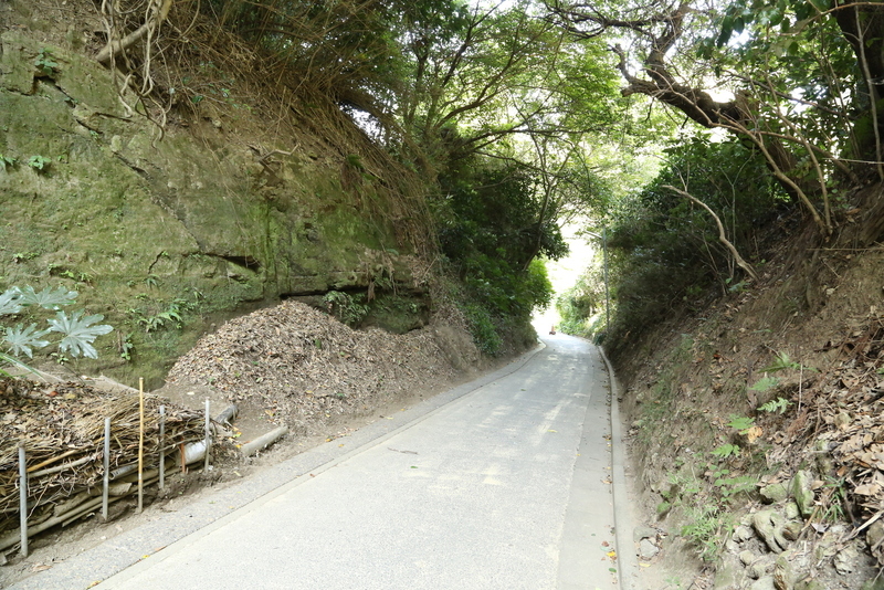 山ノ内と扇ヶ谷を結ぶ亀ヶ谷切通し。<br>ここを抜けると山ノ内側に出る。<br><br>太田道灌は扇谷上杉氏の家宰だった。そのため、扇ヶ谷に屋敷があった。<br>太田道灌は、建長寺で学んだという話がある。本当なら、ここ扇谷から亀ヶ谷切通しを通って、山内の建長寺に通学したかもしれない。自分が亀ヶ谷切通しを歩いていたように。